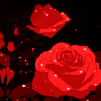 GIF of twinkling red roses against a black background