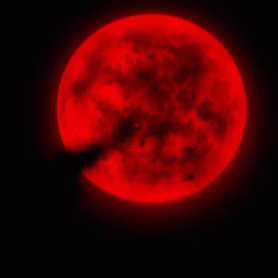 Red glowing moon with bats flying out of it